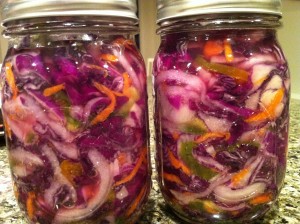 Fermented Coleslaw - red cabbage, onion, bell peppers and carrot